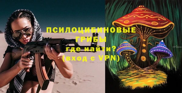 PSILOCYBIN Абдулино