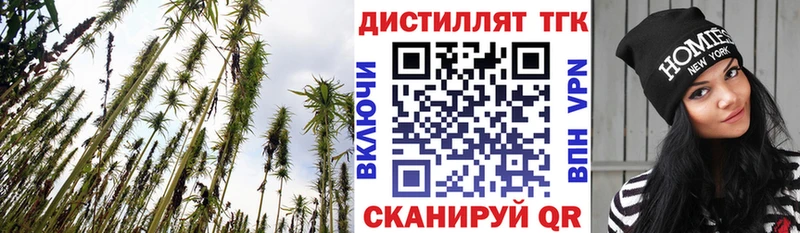 Дистиллят ТГК Wax закладки Кашин