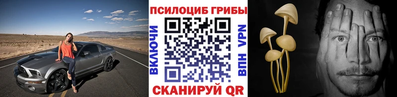 Галлюциногенные грибы мицелий Кашин